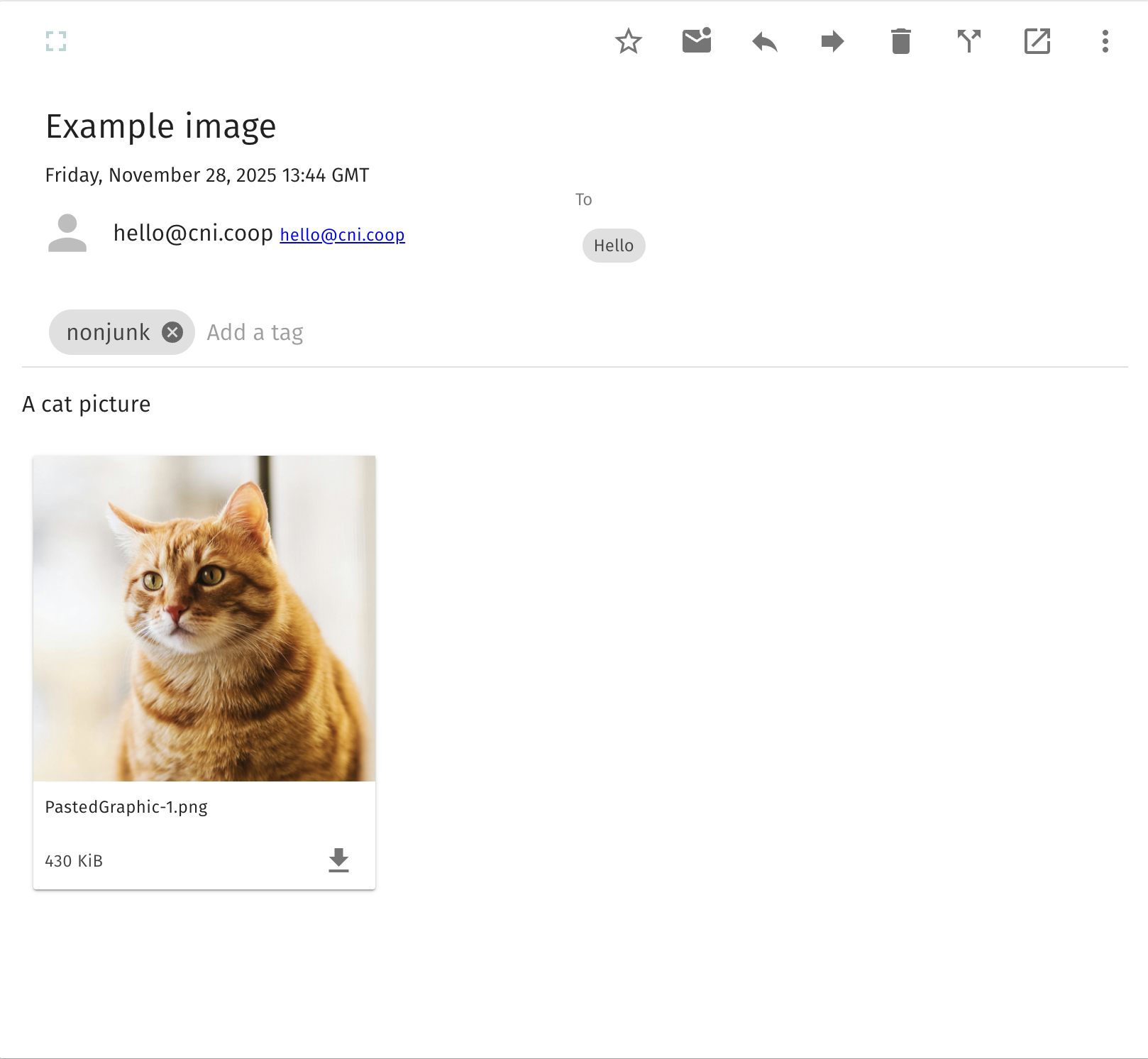 Email with cat picture